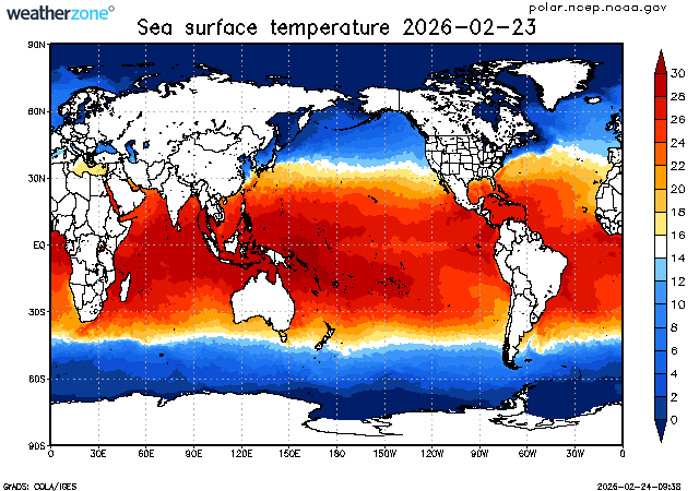 Sea Surface Temperature - Global
